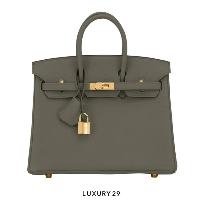 Hermes Birkin 25 Vert Maquis Bag Togo Gold Hardware Military Green K Stamp  (2025)