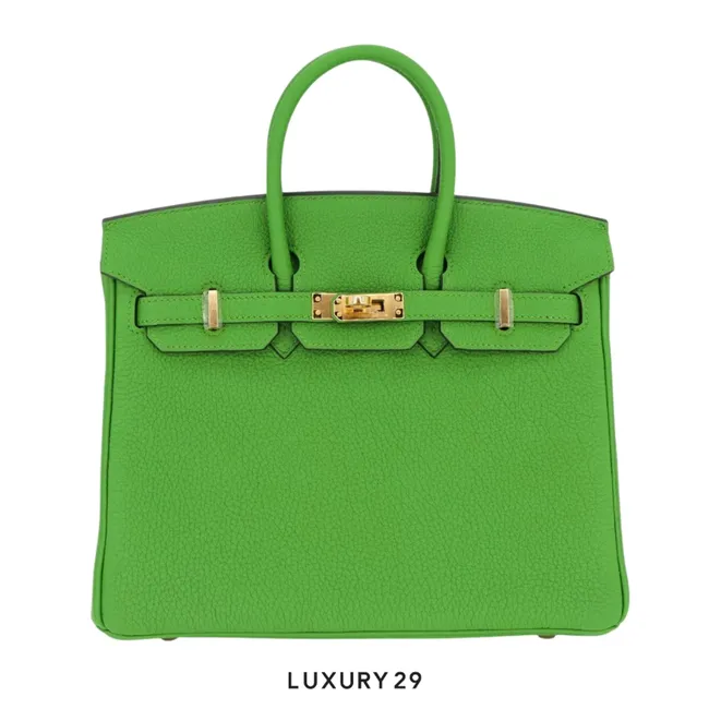 Hermes SAC Birkin 25 Veau Togo AB Vert Yucca / B Stamp  (2023)