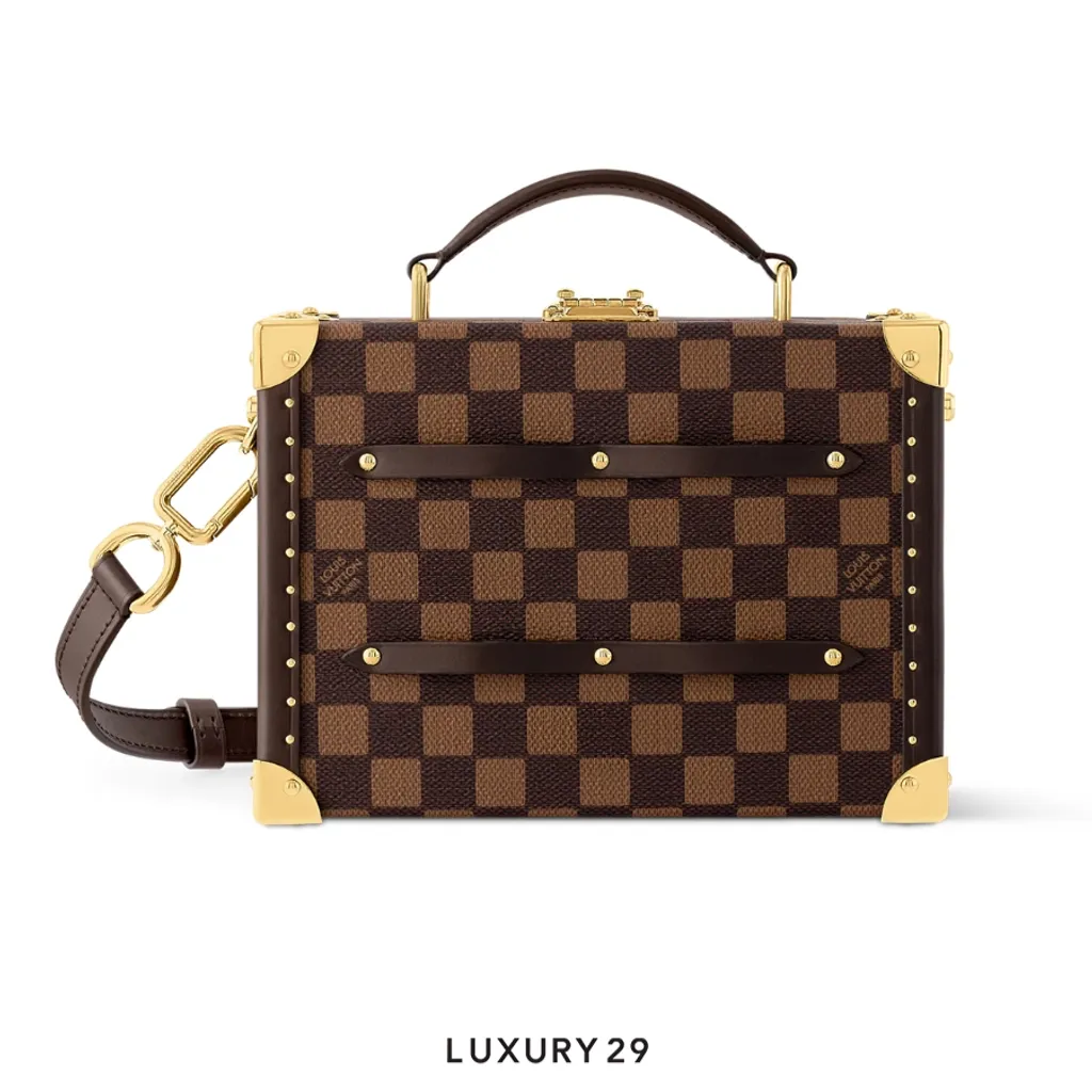 Louis Vuitton LV Sawagani Trunk Damier Phriendship Brown(Small, Brown)