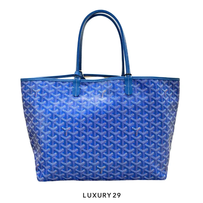 Goyard Saint Louis PM Bag Sky Blue