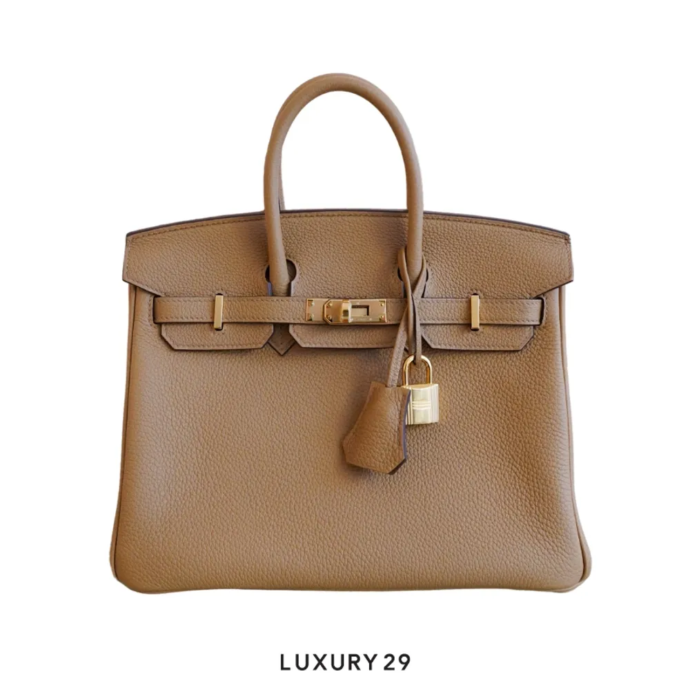 Hermes Birkin 25 Chai toffee Togo Gold Hardware / B Stamp (2023)(Small, Brown)