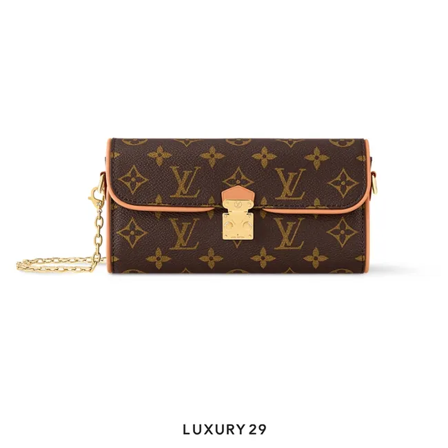 Louis Vuitton LV Pochette Camille bag Canvas Brown