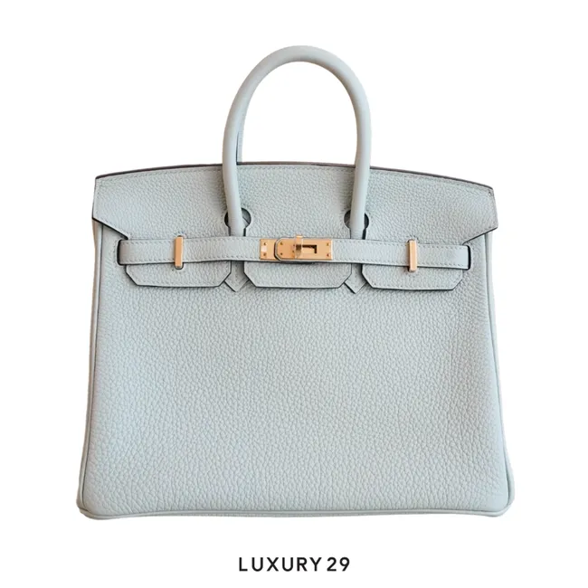 Hermes Birkin 25 Gris Neve Togo Gold Hardware / B Stamp  (2023)