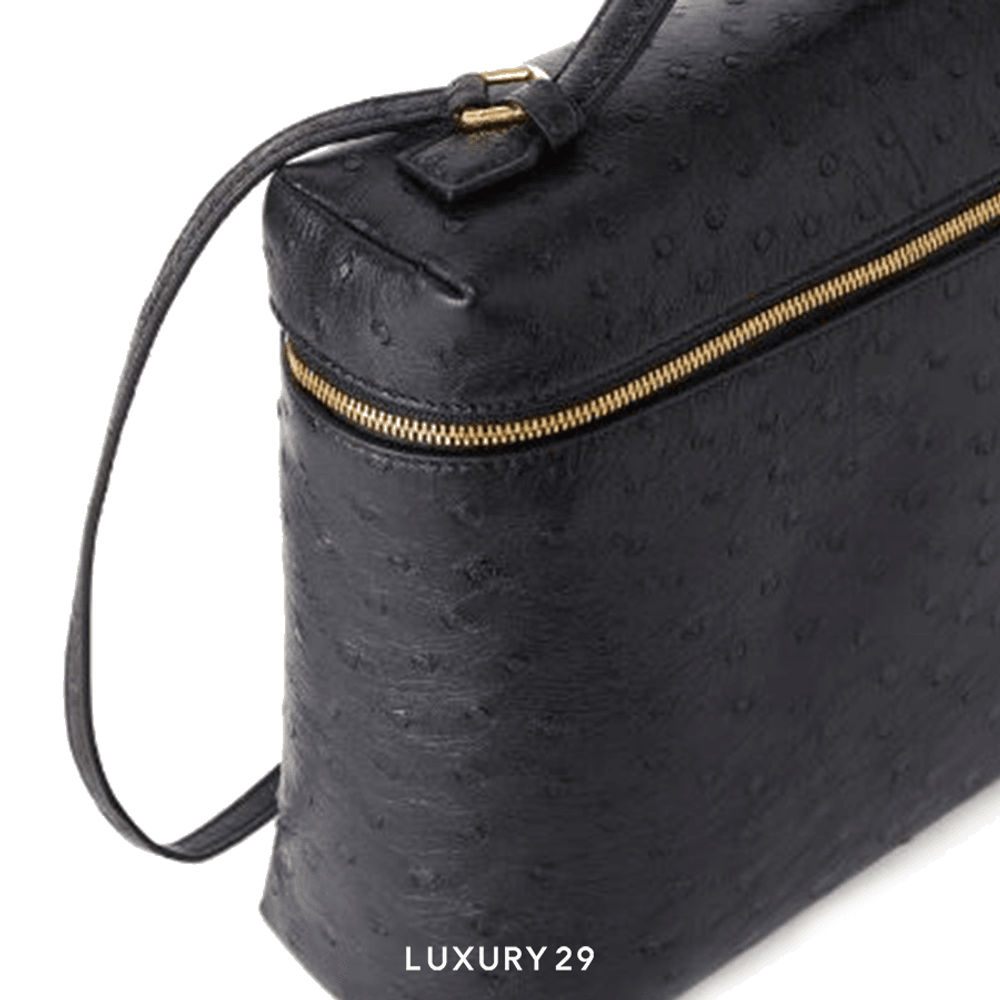 Loro Piana Extra Pocket Backpack in Ostrich Leather(Medium, Black)