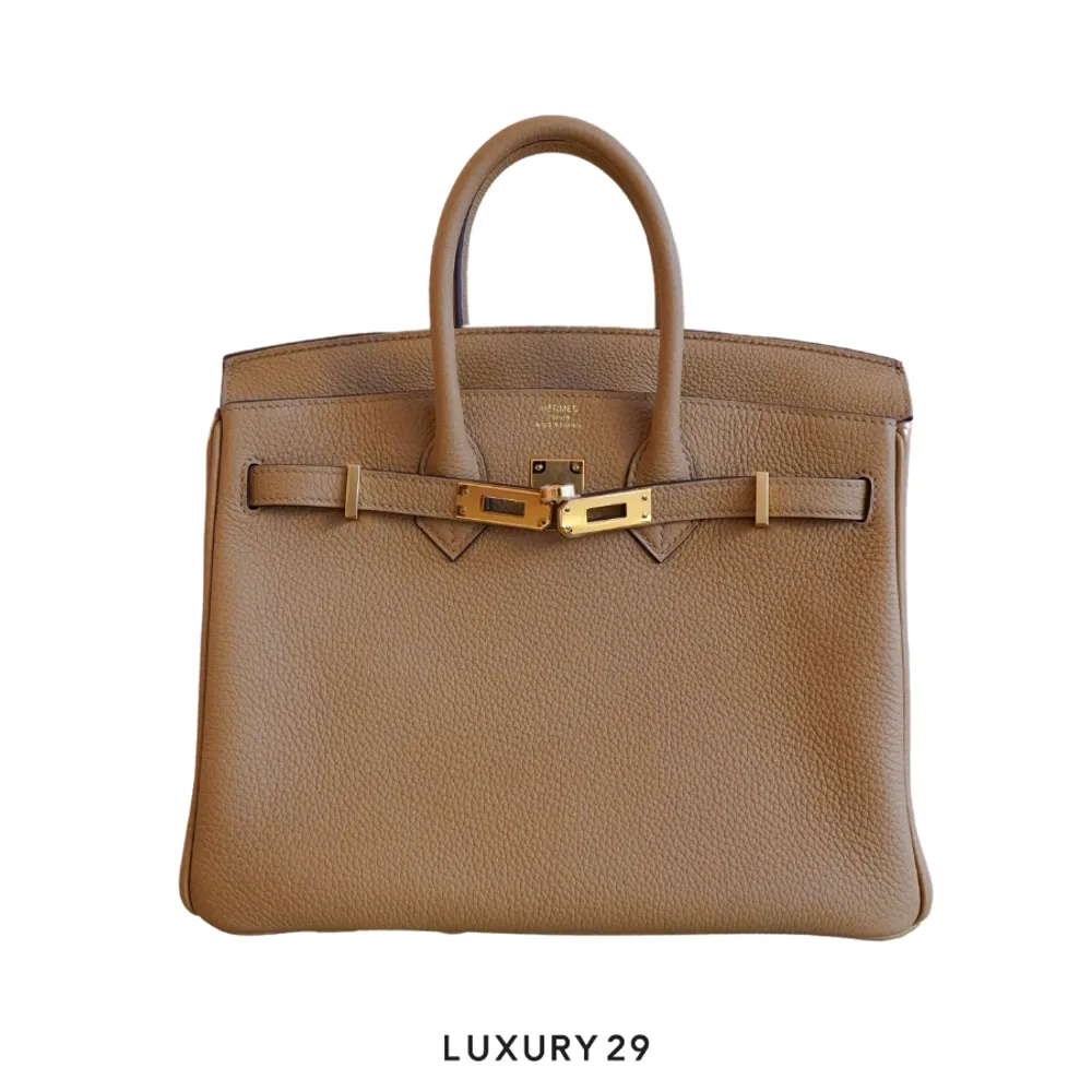 Hermes Birkin 25 Chai toffee Togo Gold Hardware / B Stamp (2023)(Small, Brown)