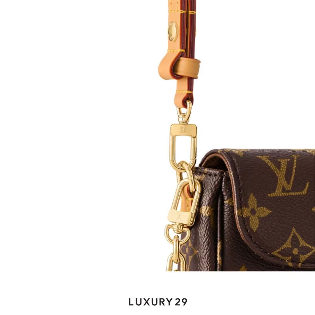 Louis Vuitton LV Ivy Wallet on Chain Bag Monogram Canvas Brown(Small, Brown)