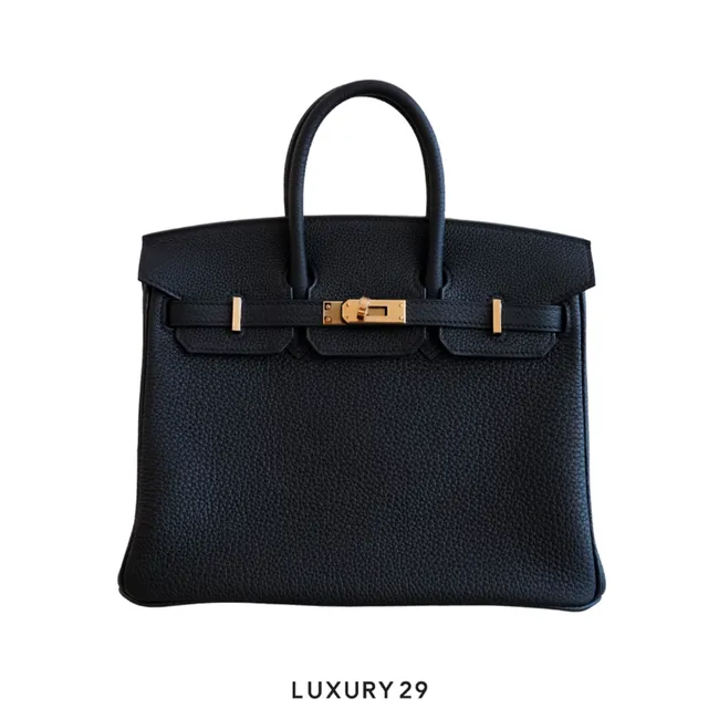 Hermes Birkin 25 Black Togo Gold Hardware / B Stamp  (2023)