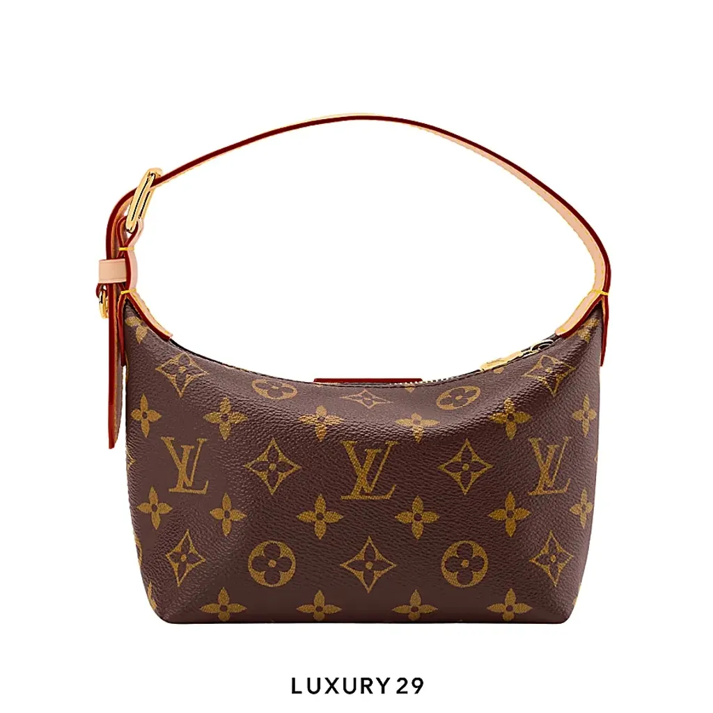Louis Vuitton LV Classic Pochette Hills Monogram Canvas(Small, Brown)