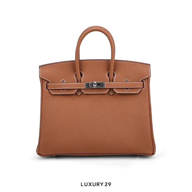 Hermes Birkin 25 Gold Togo Palladium Hardware / B Stamp  (2023)