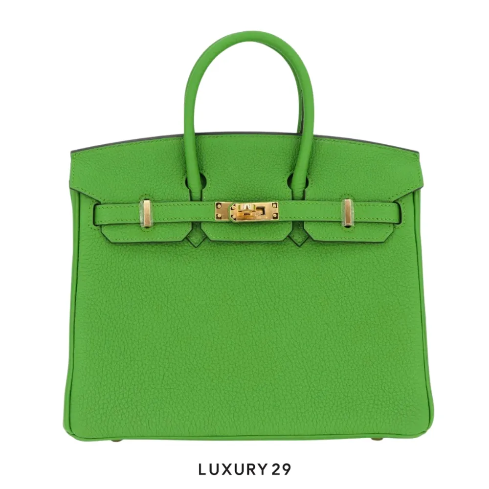 Hermes SAC Birkin 25 Veau Togo AB Vert Yucca / B Stamp (2023)(Small, Green)